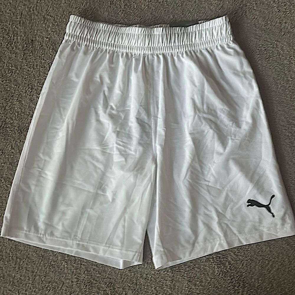 Puma Men’s TeamFinal Shorts in Puma White!